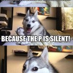 horrible joke for ya | WHY CAN'T YOU HEAR A PTERODACTYL GOING TO THE BATHROOM? BECAUSE THE P IS SILENT! *WHEEZES* | image tagged in memes,bad pun dog | made w/ Imgflip meme maker