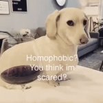 Anti lgbt dog