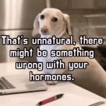 Homophobic dog meme