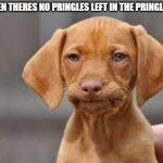 When theres no pringles in the can :( | WHEN THERES NO PRINGLES LEFT IN THE PRINGLE CAN | image tagged in disappointed dog,pringles | made w/ Imgflip meme maker