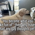 Homophobic dog