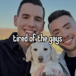 Tired of the gays