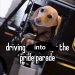 Homophobic dog meme