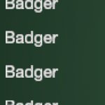 Badgers