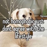 Homophobic dog