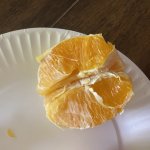 Annoying orange ?