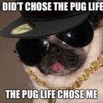Gangster Pug | I DID’T CHOSE THE PUG LIFE; THE PUG LIFE CHOSE ME | image tagged in gangster pug | made w/ Imgflip meme maker