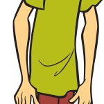 Shaggy Rogers