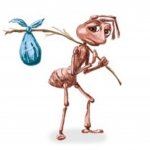 Sad Ant with Bindle