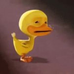 Duck Crying GIF Template