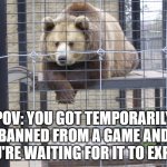 This is what it feels like to be banned | POV: YOU GOT TEMPORARILY BANNED FROM A GAME AND YOU'RE WAITING FOR IT TO EXPIRE | image tagged in captive bear,video games,banned | made w/ Imgflip meme maker