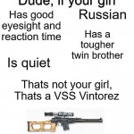 VSS | Russian; Has good eyesight and reaction time; Has a tougher twin brother; Is quiet; Thats not your girl,
Thats a VSS Vintorez | image tagged in dude if your girl,guns,assault weapons,russian | made w/ Imgflip meme maker