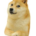 Doge png