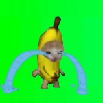 Banana cat crying GIF Template