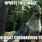 Wise Buckbeak | UPVOTE THIS IMAGE; IF YOU WANT CORONAVIRUS TO END | image tagged in wise buckbeak,coronavirus,foxy507,buckbeak,harry potter,meme | made w/ Imgflip meme maker