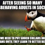 We need a discipline | AFTER SEEING SO MANY MISBEHAVING ADULTS IN SOCIETY; WE NEED TO PUT SHOCK COLLARS ON HUMANS UNTIL THEY LEARN TO BETTER BEHAVE | image tagged in memes,unpopular opinion puffin | made w/ Imgflip meme maker