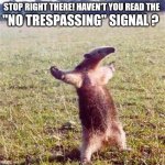 Ant-eater | STOP RIGHT THERE! HAVEN'T YOU READ THE; "NO TRESPASSING" SIGNAL ? | image tagged in ant-eater | made w/ Imgflip meme maker