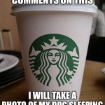 Plz | IF ICEU COMMENTS ON THIS; I WILL TAKE A PHOTO OF MY DOG SLEEPING AND POST IT ON HERE | image tagged in starbucks | made w/ Imgflip meme maker