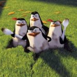 Madagascar Penguins meme