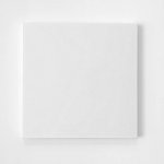 Olivier Mosset - Untitled (Rauschenberg White), 2020 template