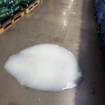 Blob