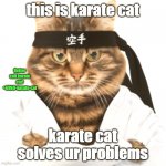 karate cat | this is karate cat; Better call karate cat!
+6969-karate-cat; karate cat solves ur problems | image tagged in karate cat,karate,cat,better call karate cat,better call saul | made w/ Imgflip meme maker
