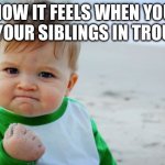 Success Kid Original | HOW IT FEELS WHEN YOU GET YOUR SIBLINGS IN TROUBLE | image tagged in memes,success kid original | made w/ Imgflip meme maker