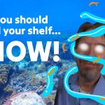 You should krill your shelf now! meme