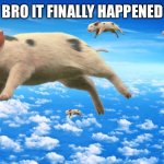 they thought it would never happen | BRO IT FINALLY HAPPENED | image tagged in when pigs fly,pigs,memes | made w/ Imgflip meme maker