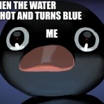 Terrified Noot Noot | WHEN THE WATER BECOMES HOT AND TURNS BLUE; ME | image tagged in terrified noot noot,hot water,blue | made w/ Imgflip meme maker