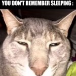 5 hours is something for me damn | WHEN YOU'RE SO TIRED YOU DON'T REMEMBER SLEEPING : | image tagged in why the long face | made w/ Imgflip meme maker