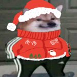 The chistmas doge