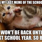 Bye | THIS IS MY LAST MEME OF THE SCHOOL YEAR; I WON'T BE BACK UNTIL NEXT SCHOOL YEAR. SO BYE! | image tagged in sad kitten goodbye,goodbye | made w/ Imgflip meme maker