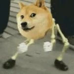 Doge Dances GIF Template