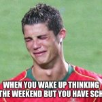 When You Wake Up Thinking Its The Weekend But You Actually Have School | WHEN YOU WAKE UP THINKING ITS THE WEEKEND BUT YOU HAVE SCHOOL | image tagged in cristiano ronaldo crying | made w/ Imgflip meme maker