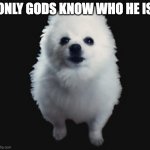 :( | ONLY GODS KNOW WHO HE IS | image tagged in gabe the dog | made w/ Imgflip meme maker