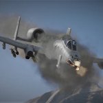 Warthog