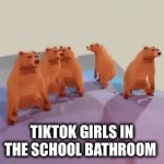 The boys and I think it’s so weird | TIKTOK GIRLS IN THE SCHOOL BATHROOM | image tagged in gifs,funny memes,tiktok,tiktok sucks | made w/ Imgflip video-to-gif maker