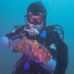 Scuba diver with artefact wreck Coolidge gun