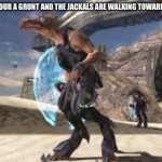 Why them?!? | POV: YOUR A GRUNT AND THE JACKALS ARE WALKING TOWARDS YOU | image tagged in halo meme | made w/ Imgflip meme maker