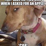 Wrong order much | " THEY GAVE ME TWO CHIPS WHEN I ASKED FOR AN APPLE"; *CAP* | image tagged in side eye dog | made w/ Imgflip meme maker