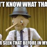 Sarcasm | I DON'T KNOW WHAT THAT IS... I'VE NEVER SEEN THAT BEFORE IN MY LIFE!😳 | image tagged in geico pinocchio | made w/ Imgflip meme maker