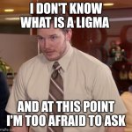 I don't know what it it | I DON'T KNOW WHAT IS A LIGMA; AND AT THIS POINT I'M TOO AFRAID TO ASK | image tagged in memes,afraid to ask andy,ligma | made w/ Imgflip meme maker