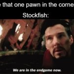 How many people in imgflip play chess? | You move that one pawn in the corner in chess; Stockfish: | image tagged in we're in the endgame now | made w/ Imgflip meme maker