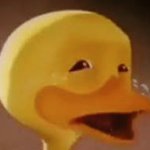 Crying Duck