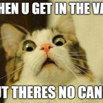 Scared Cat | WHEN U GET IN THE VAN; BUT THERES NO CANDY | image tagged in memes,scared cat | made w/ Imgflip meme maker