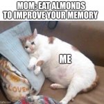 Fat Cat Crying | MOM: EAT ALMONDS TO IMPROVE YOUR MEMORY; ME | image tagged in fat cat crying | made w/ Imgflip meme maker