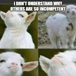 Arrogant sheep | I DON'T UNDERSTAND WHY OTHERS ARE SO INCOMPETENT | image tagged in arrogant sheep | made w/ Imgflip meme maker