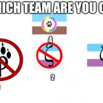 Which team are you on?