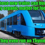 Eco transport | These new trains can burn any organic matter for fuel? They even run on Thyme. | image tagged in eco train,run on organic matter,even run on thyme | made w/ Imgflip meme maker